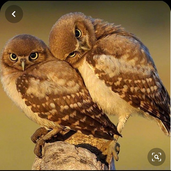 Meet your Posher, Jennifer - Picture 1 of 1